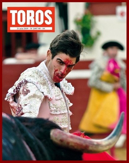 toros18f