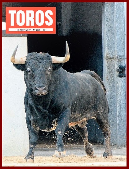 toros03f