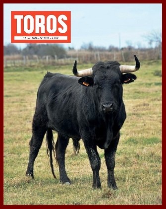 toros24h