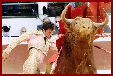 toros15ph