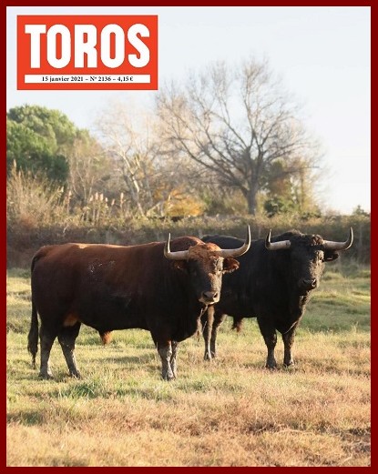 toros16h