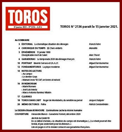 toros16w