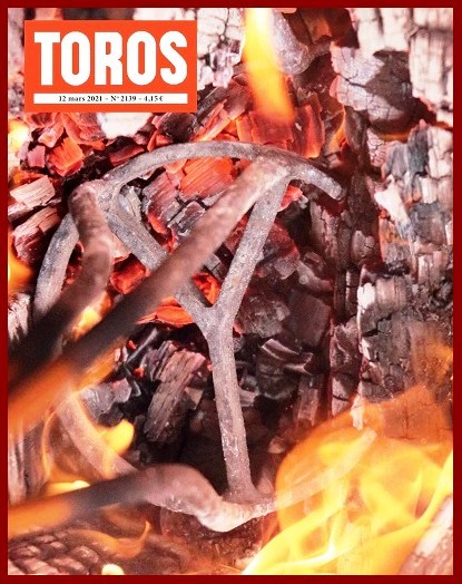 toros11ph