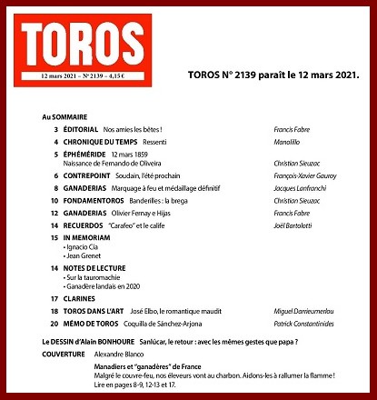 toros11som