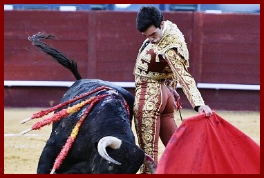 toros04ph