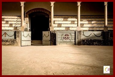 ronda06ph