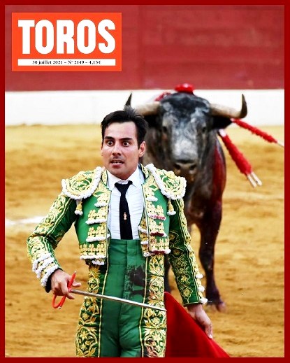 toros29h