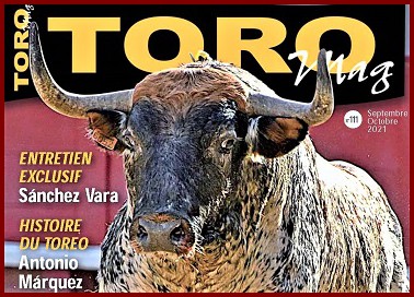 Toromag15ph