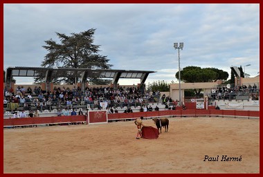 bou11ph