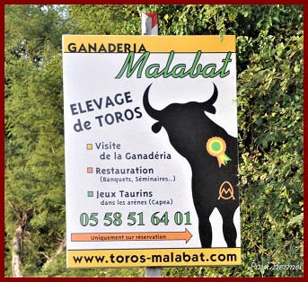 mal01ph