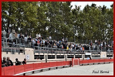 stm06ph