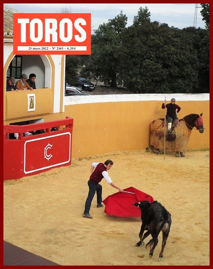 toros24h