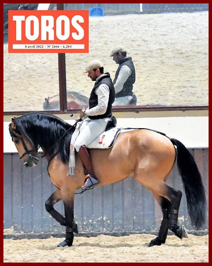 toros07h