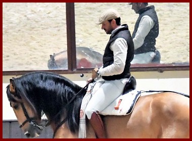 toros07ph