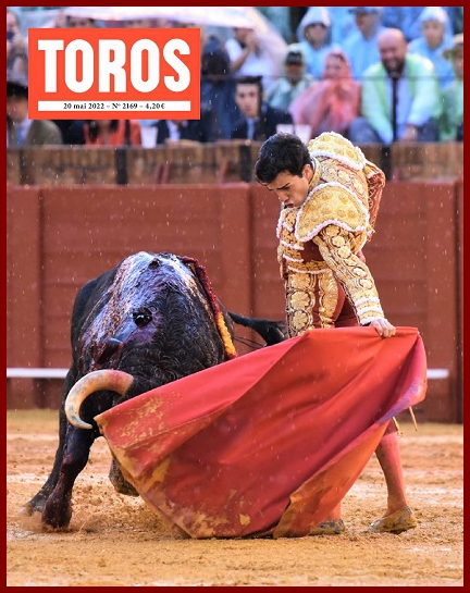 toros19k