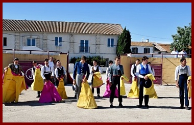 cft14a