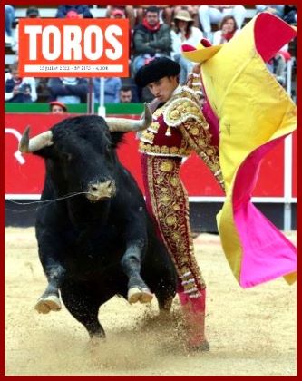 toros12h