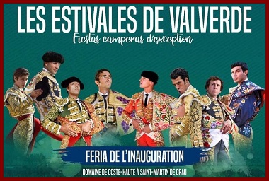 valv17ph