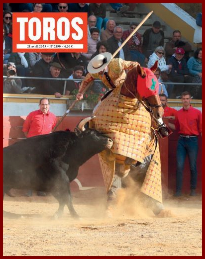 toros19k