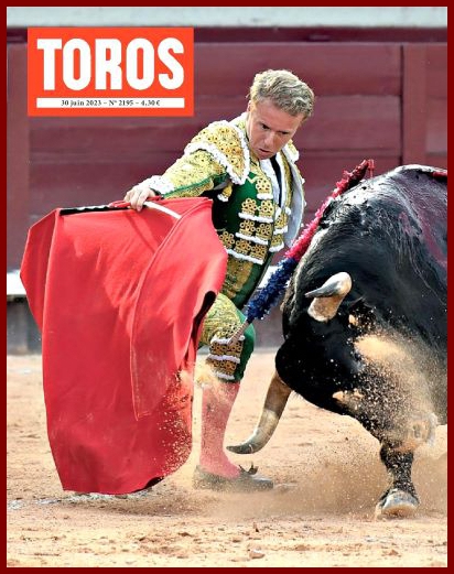 toros29k