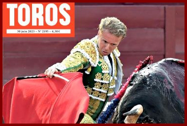 toros29pk