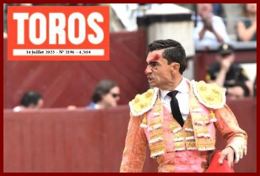 toros12haut