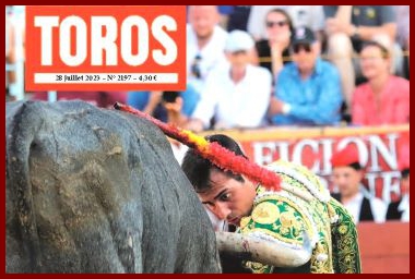 toros27pk