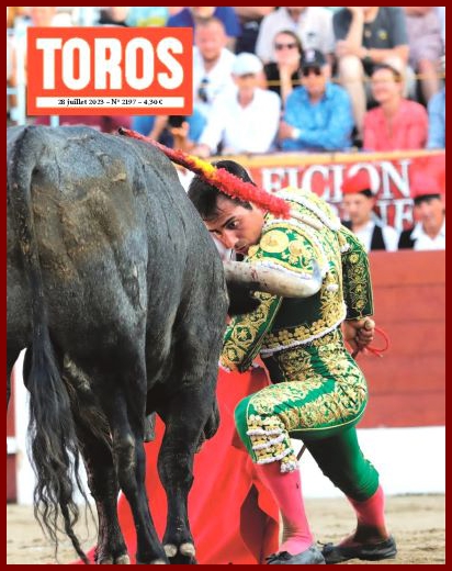 toros27t