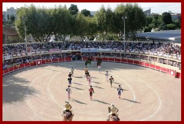 stg23pk