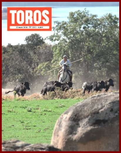 toros20k