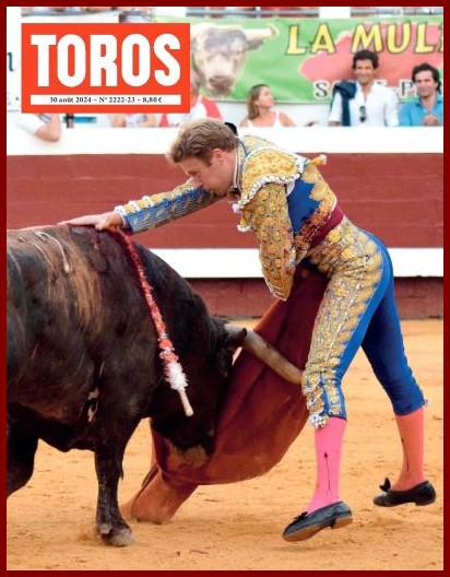 toros28k